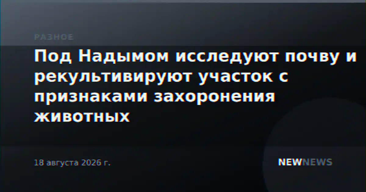 Под Надымом исследуют почву и рекультивируют участок с признаками захоронения животных