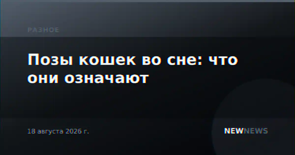 Позы кошек во сне: что они означают