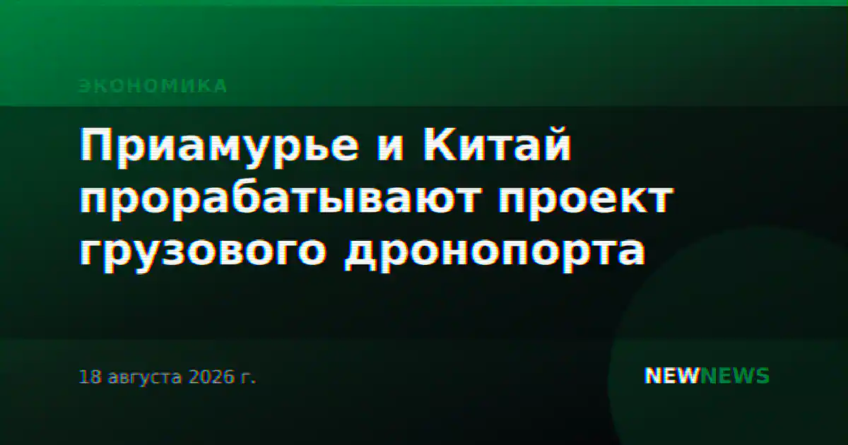 Приамурье и Китай прорабатывают проект грузового дронопорта
