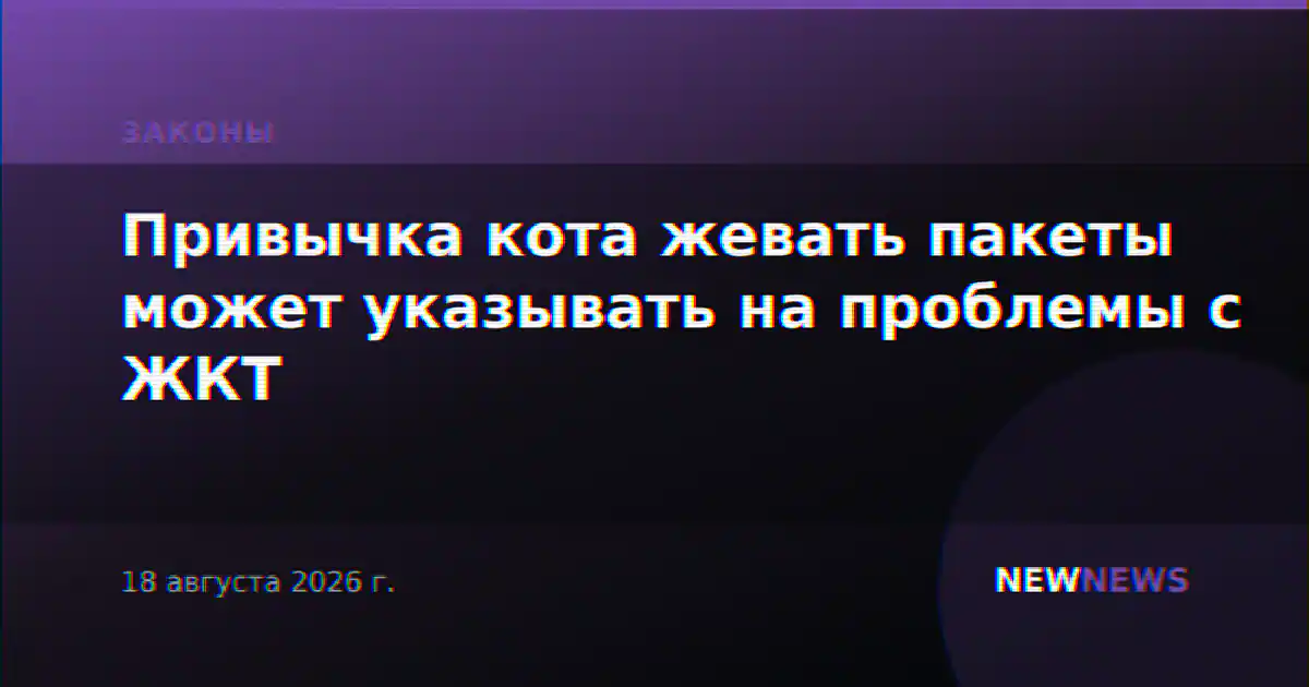 Привычка кота жевать пакеты может указывать на проблемы с ЖКТ