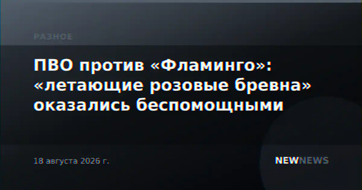 ПВО против «Фламинго»: «летающие розовые бревна» оказались беспомощными
