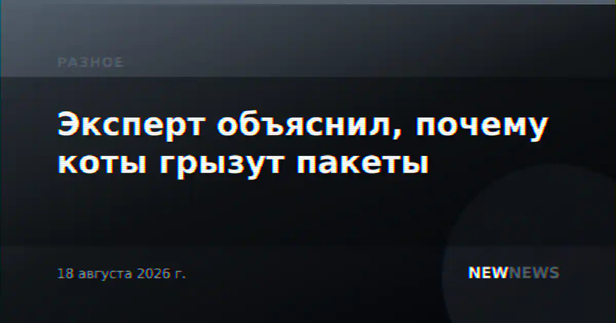 Эксперт объяснил, почему коты грызут пакеты