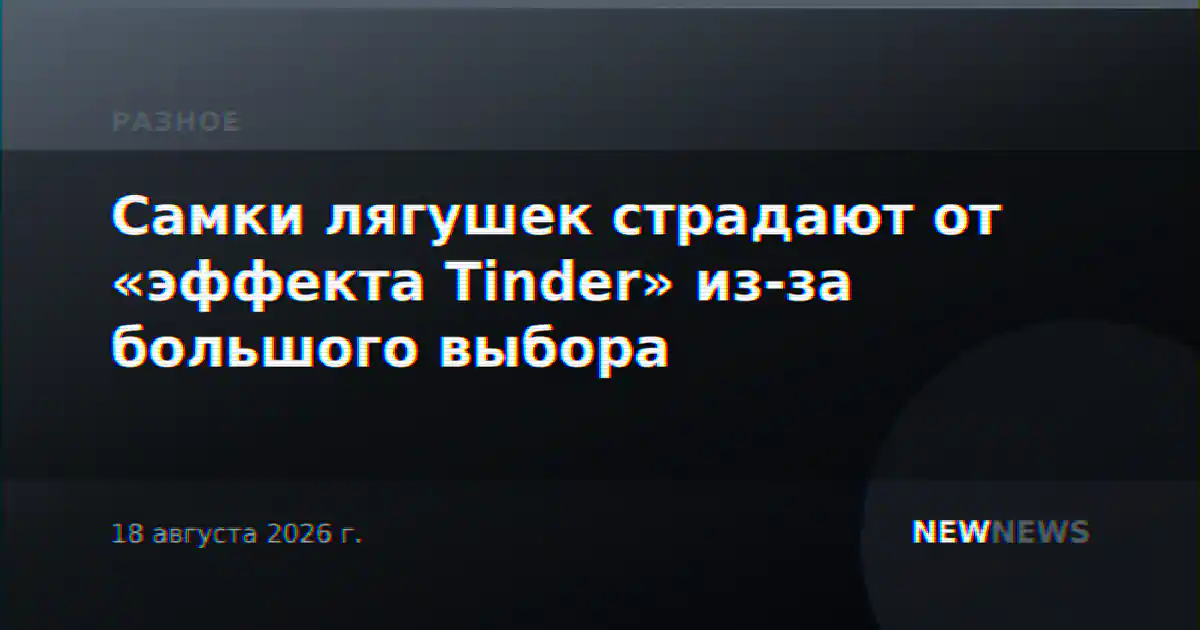 Самки лягушек страдают от «эффекта Tinder» из-за большого выбора