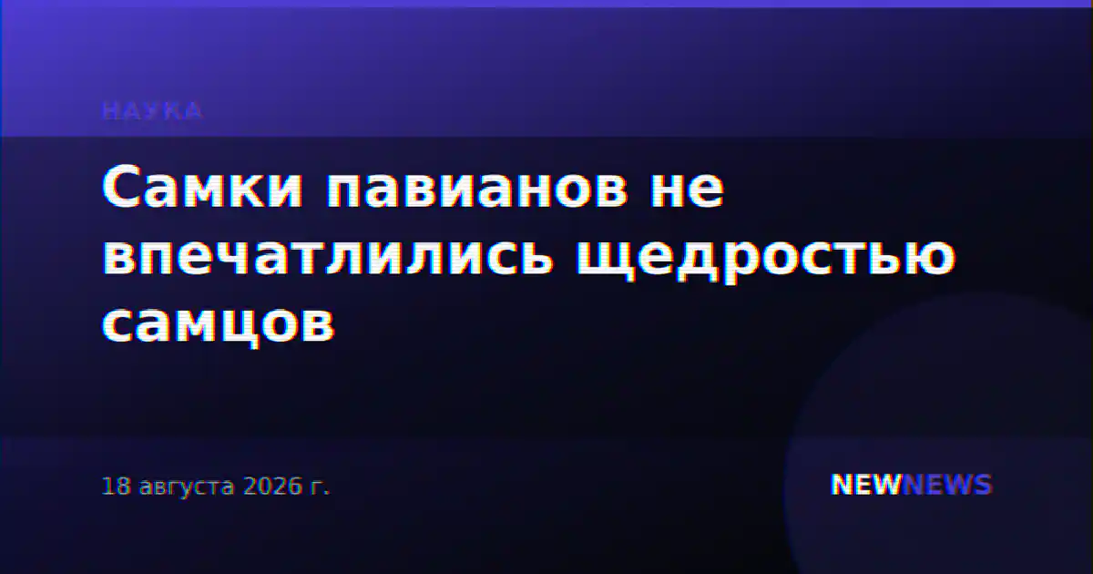 Самки павианов не впечатлились щедростью самцов