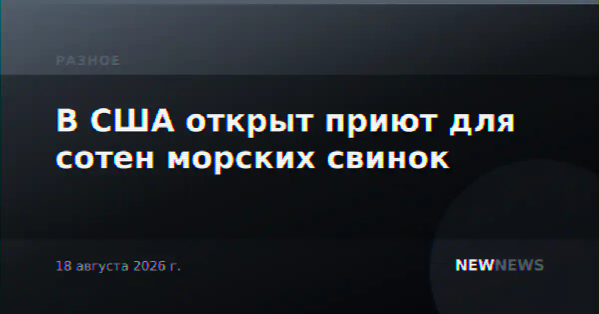 В США открыт приют для сотен морских свинок
