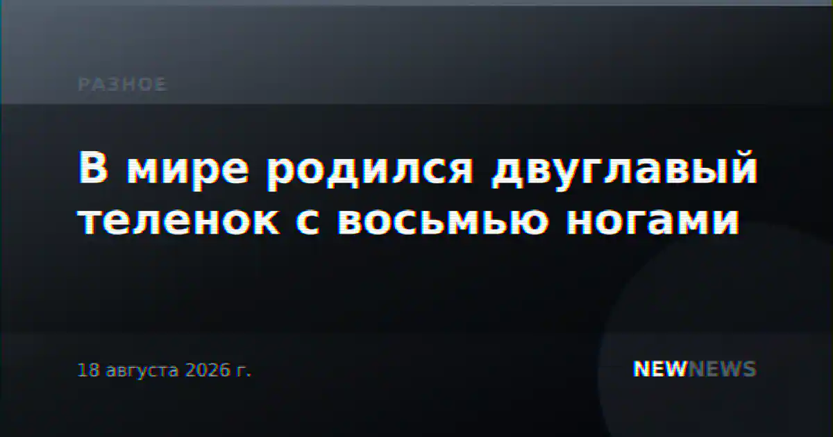В мире родился двуглавый теленок с восьмью ногами