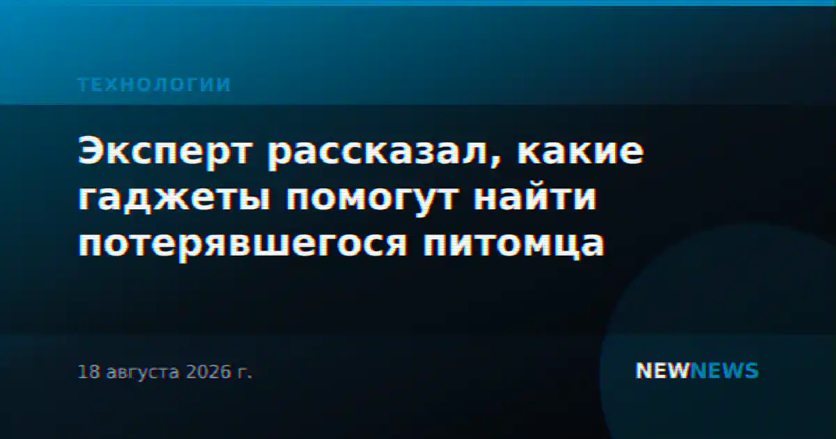 Эксперт рассказал, какие гаджеты помогут найти потерявшегося питомца