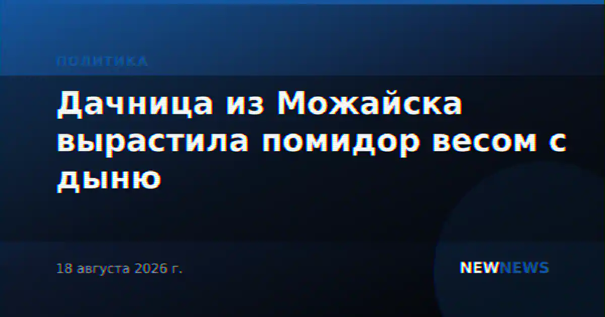 Дачница из Можайска вырастила помидор весом с дыню