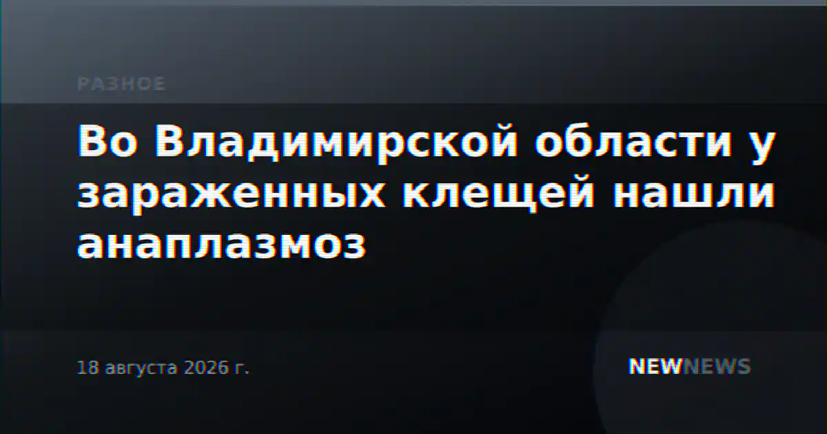 Во Владимирской области у зараженных клещей нашли анаплазмоз