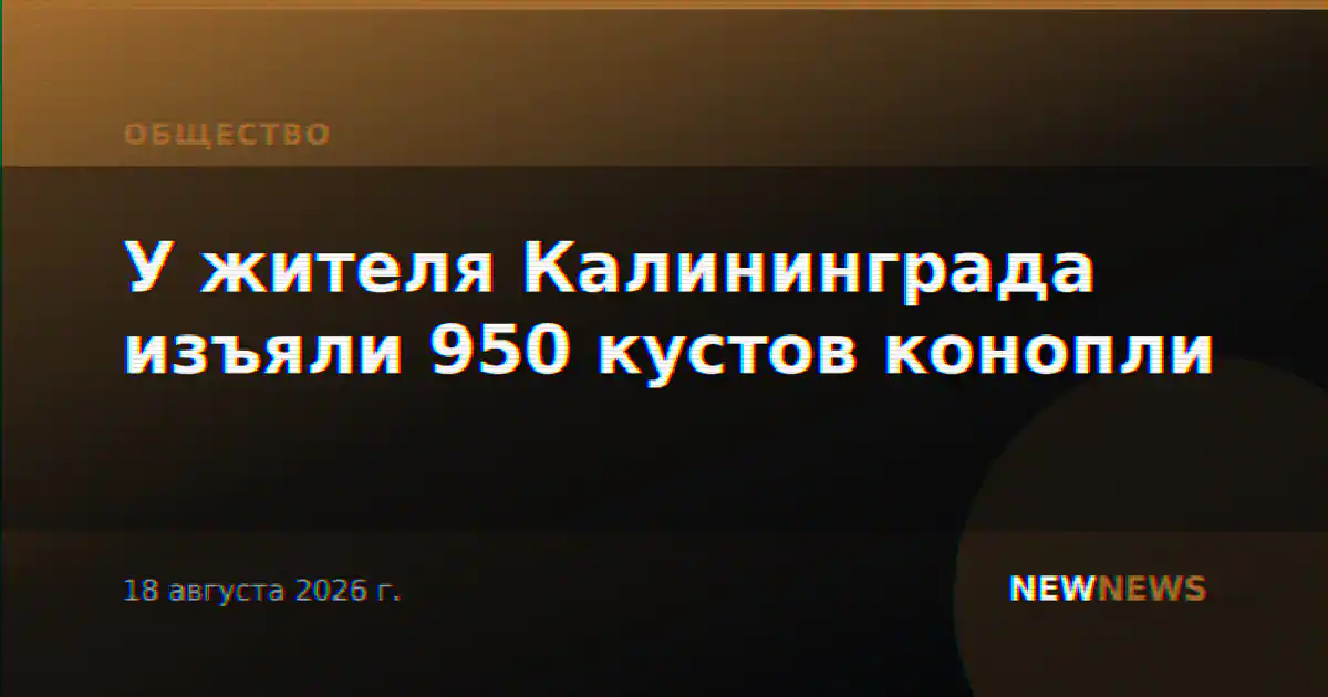 У жителя Калининграда изъяли 950 кустов конопли