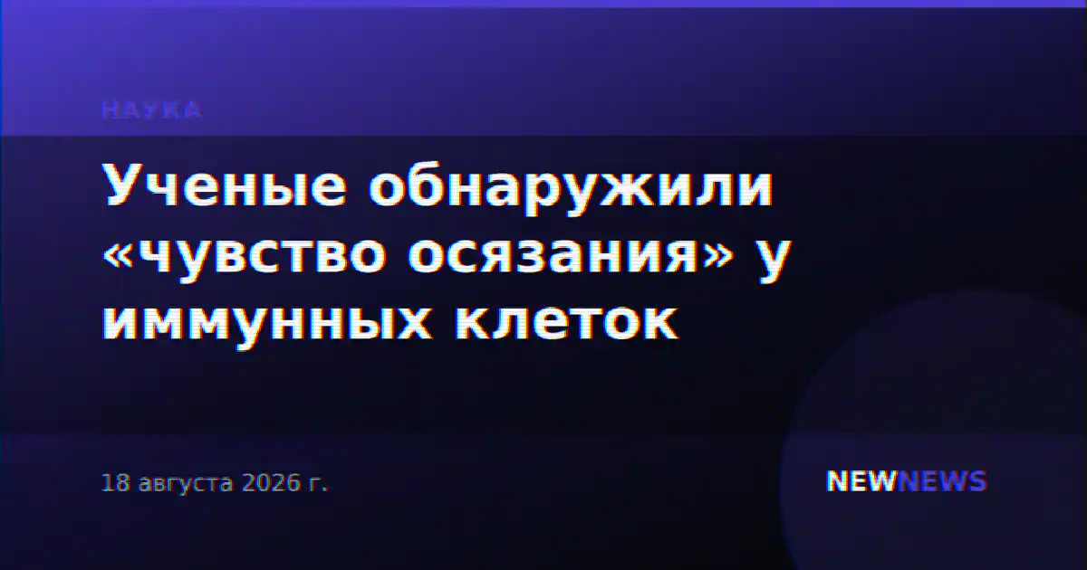 Ученые обнаружили «чувство осязания» у иммунных клеток