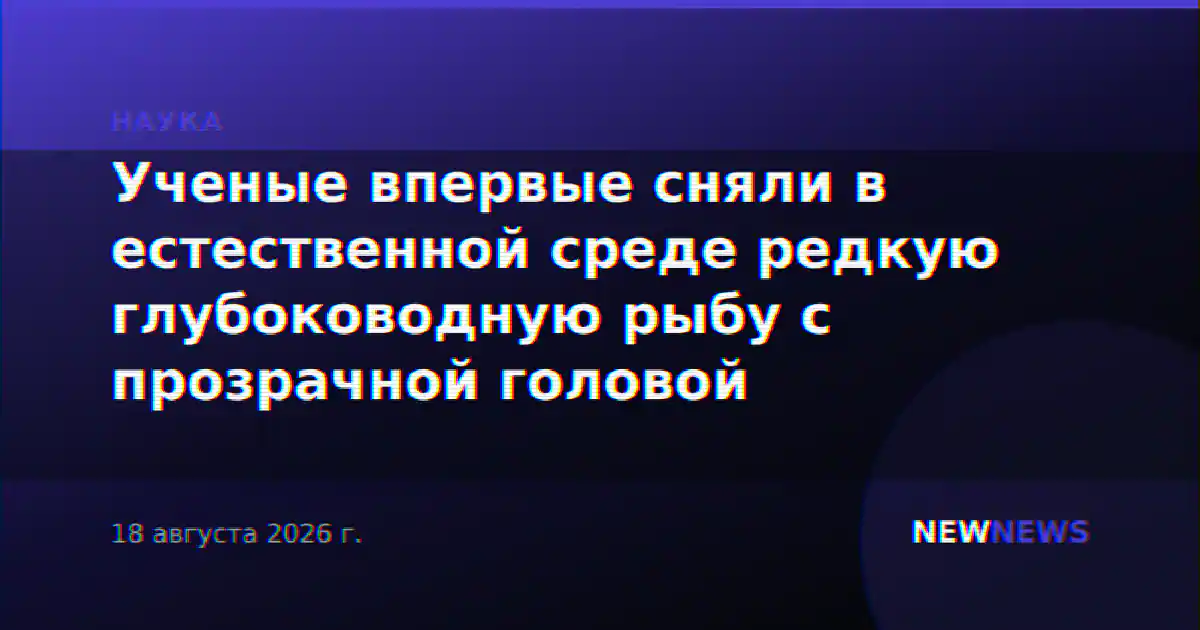 Ученые впервые сняли в естественной среде редкую глубоководную рыбу с прозрачной головой