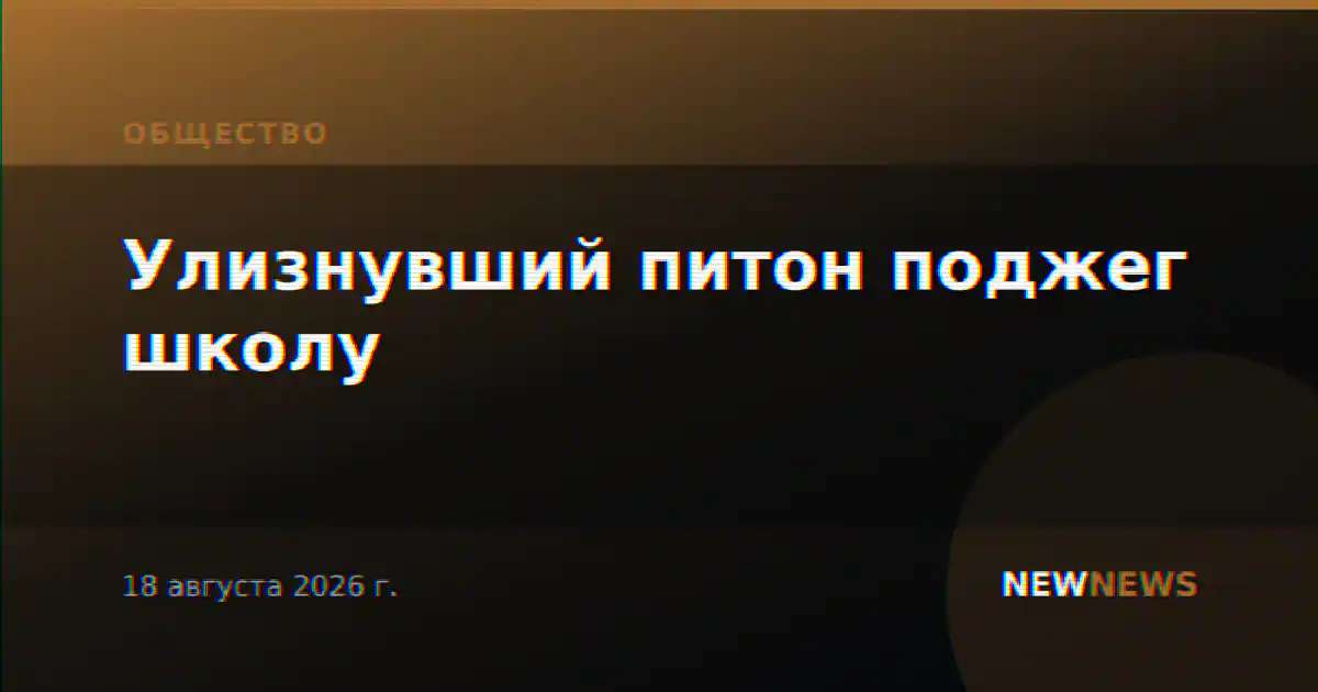 Улизнувший питон поджег школу