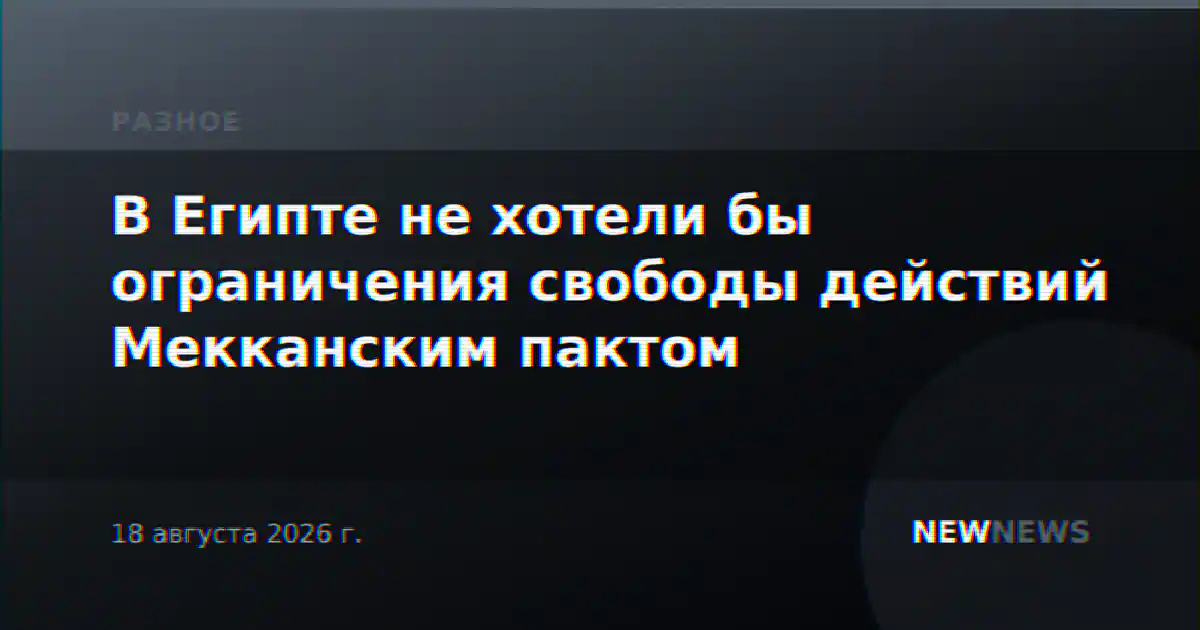 В Египте не хотели бы ограничения свободы действий Мекканским пактом