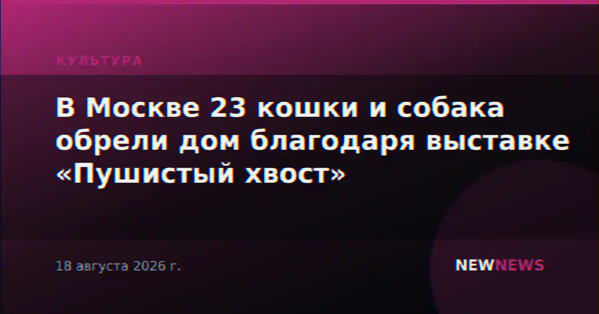 В Москве 23 кошки и собака обрели дом благодаря выставке «Пушистый хвост»
