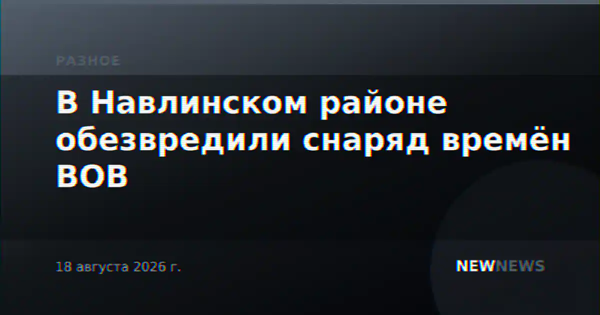 В Навлинском районе обезвредили снаряд времён ВОВ