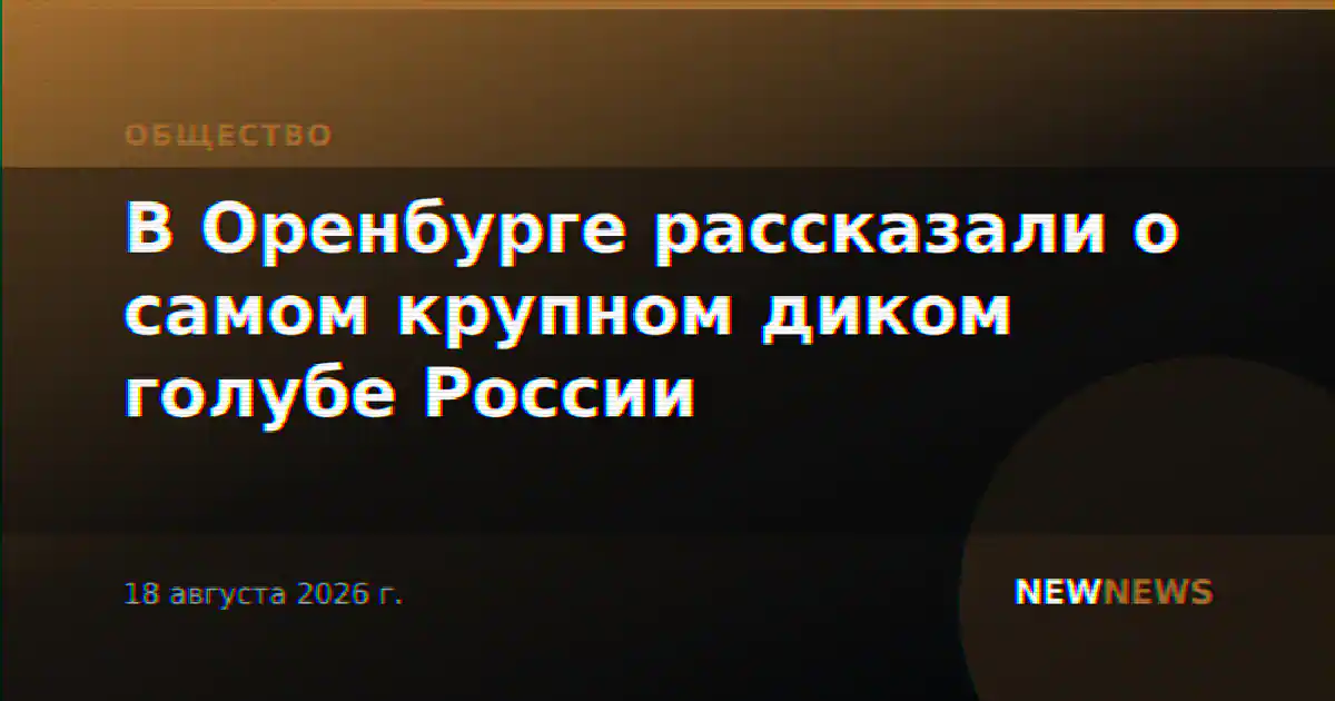 В Оренбурге рассказали о самом крупном диком голубе России