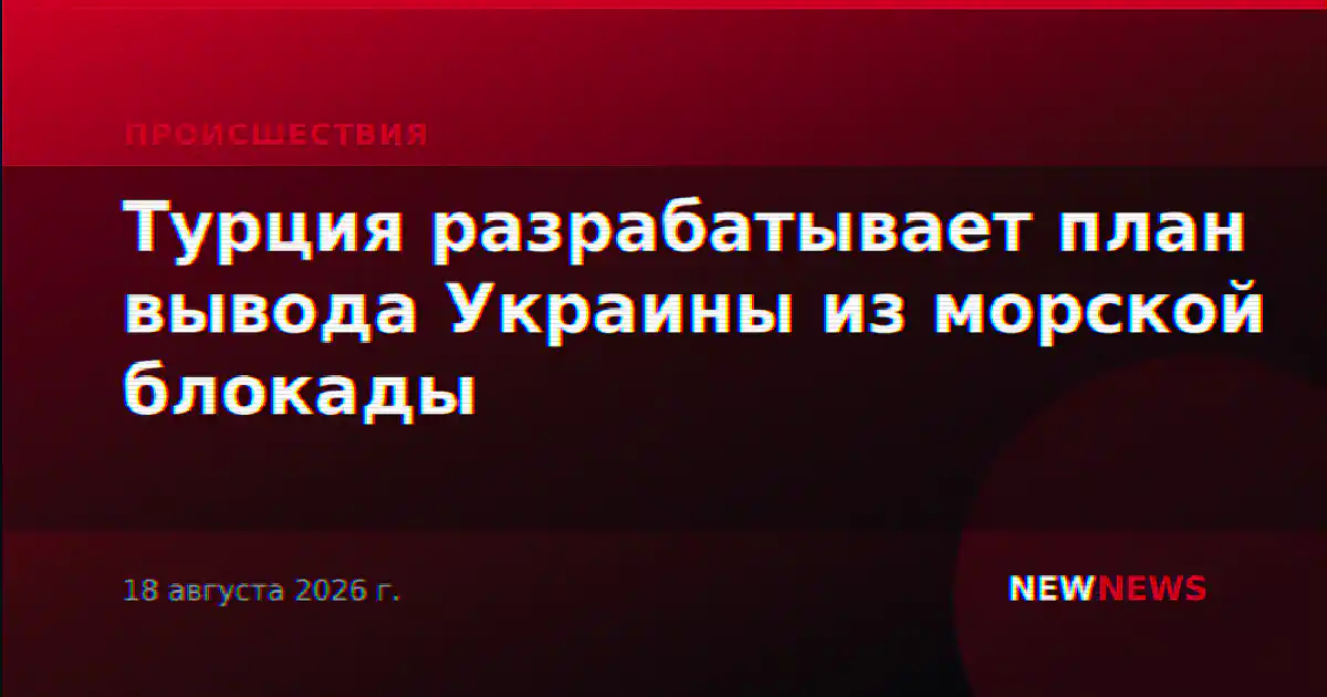 Турция разрабатывает план вывода Украины из морской блокады