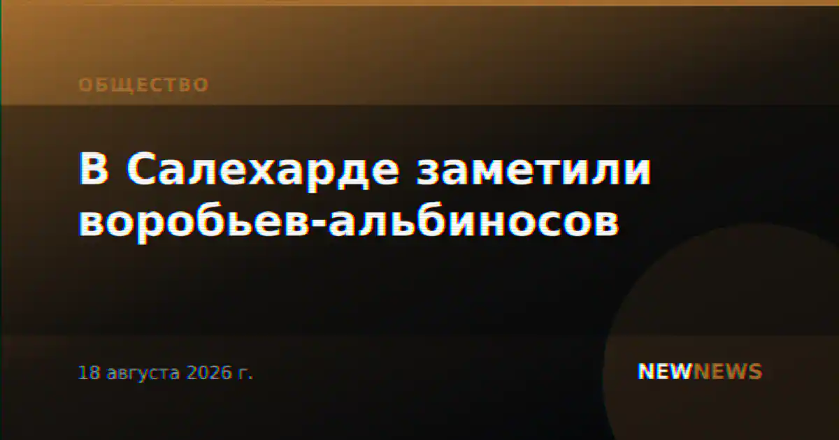 В Салехарде заметили воробьев-альбиносов