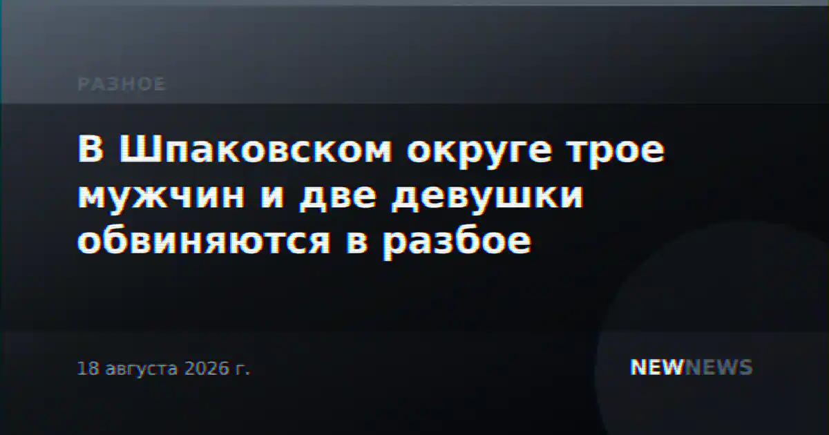 В Шпаковском округе трое мужчин и две девушки обвиняются в разбое