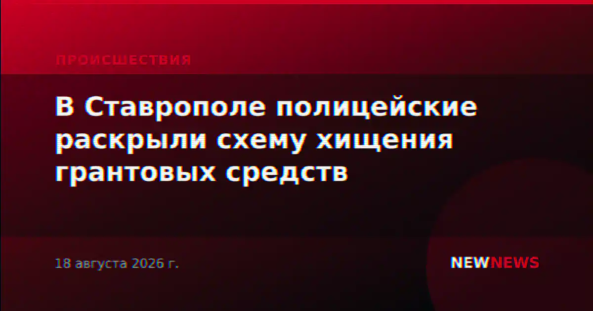 В Ставрополе полицейские раскрыли схему хищения грантовых средств