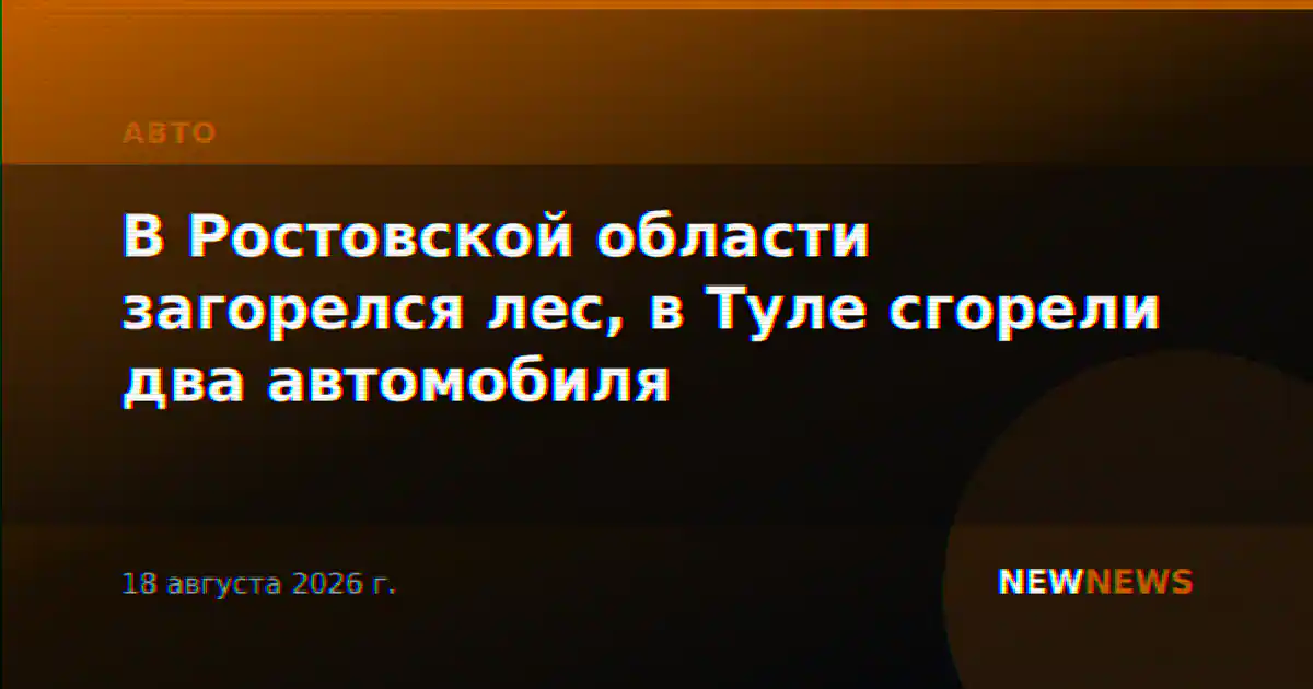 В Ростовской области загорелся лес, в Туле сгорели два автомобиля