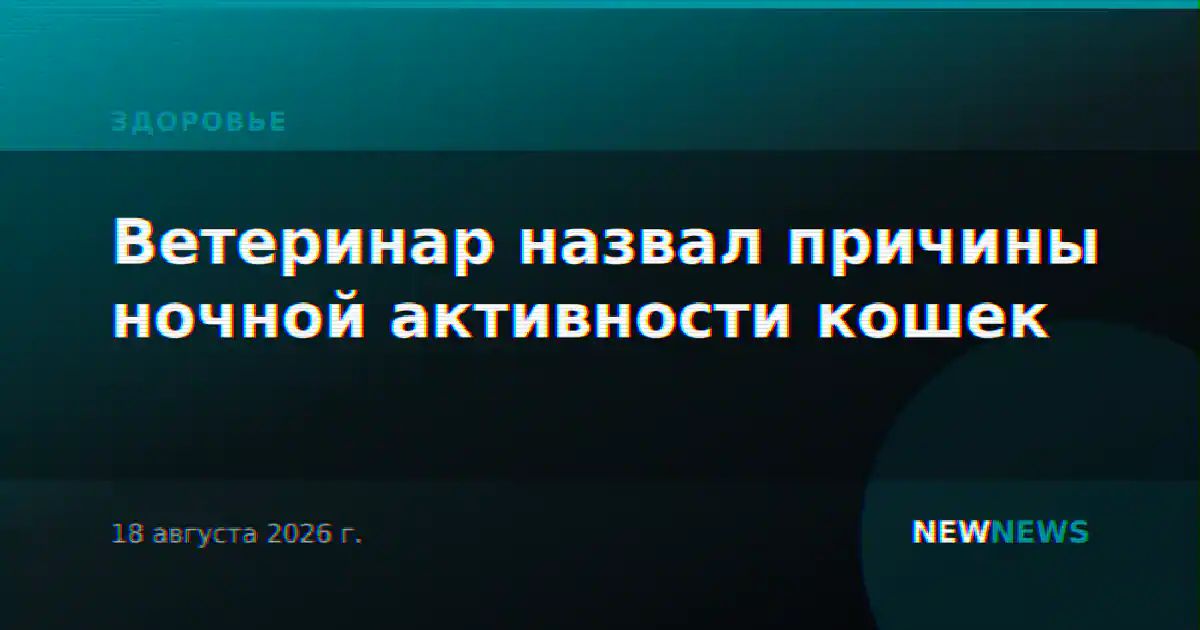 Ветеринар назвал причины ночной активности кошек