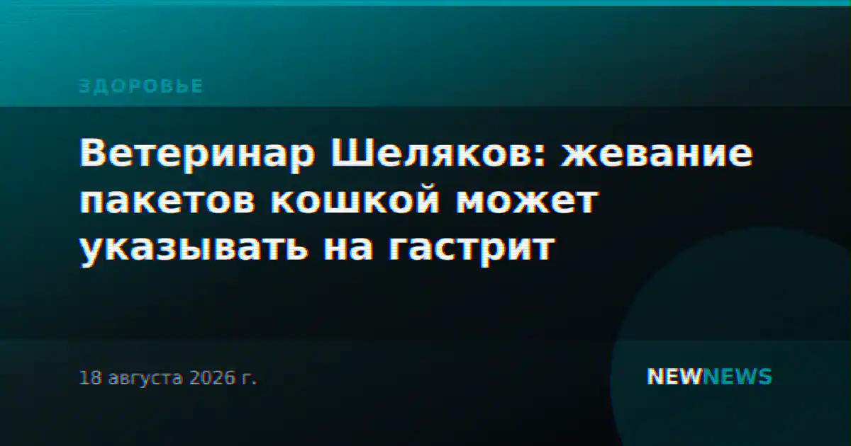 Ветеринар Шеляков: жевание пакетов кошкой может указывать на гастрит