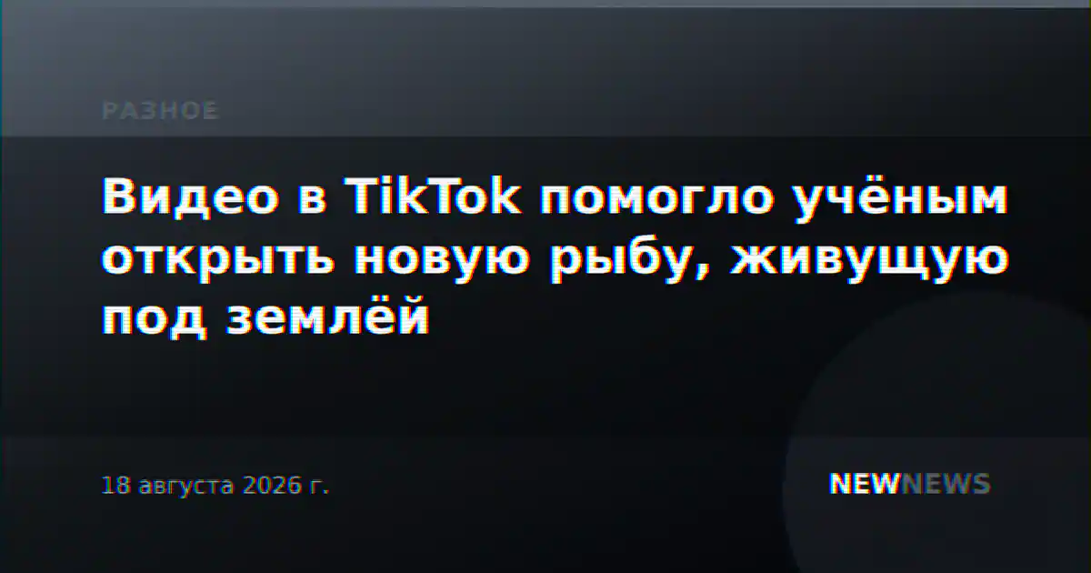 Видео в TikTok помогло учёным открыть новую рыбу, живущую под землёй