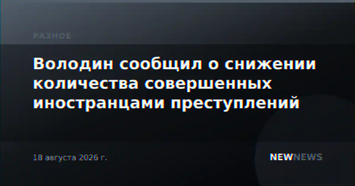 Володин сообщил о снижении количества совершенных иностранцами преступлений