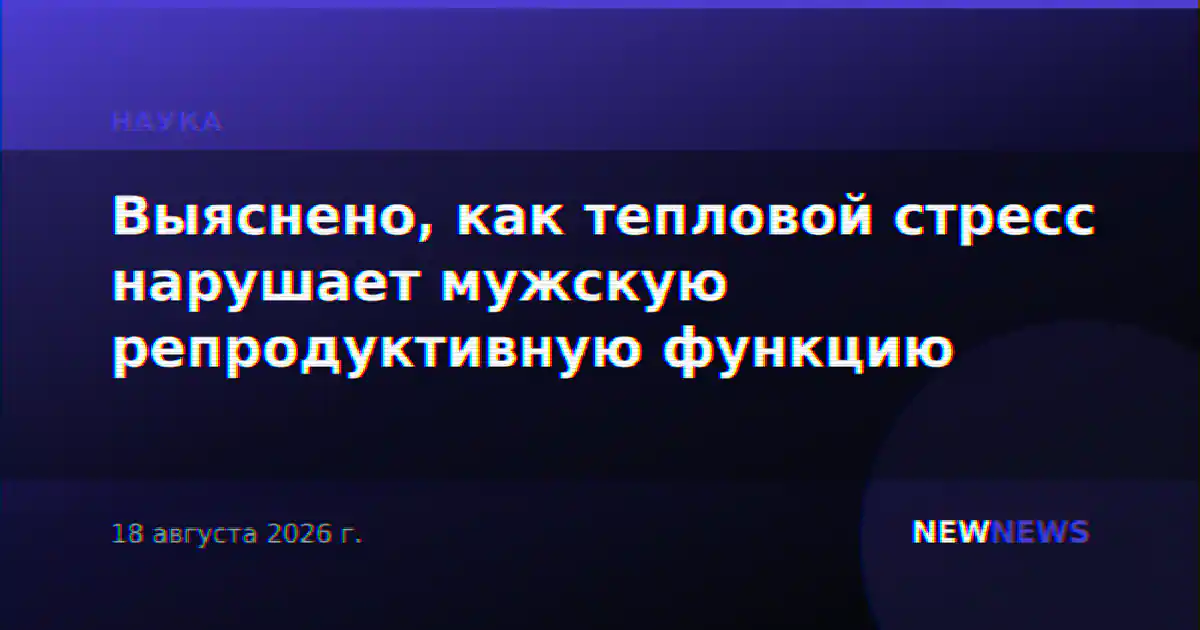 Выяснено, как тепловой стресс нарушает мужскую репродуктивную функцию