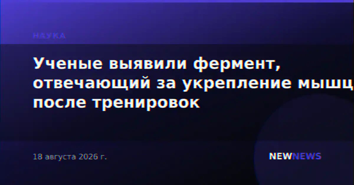 Ученые выявили фермент, отвечающий за укрепление мышц после тренировок