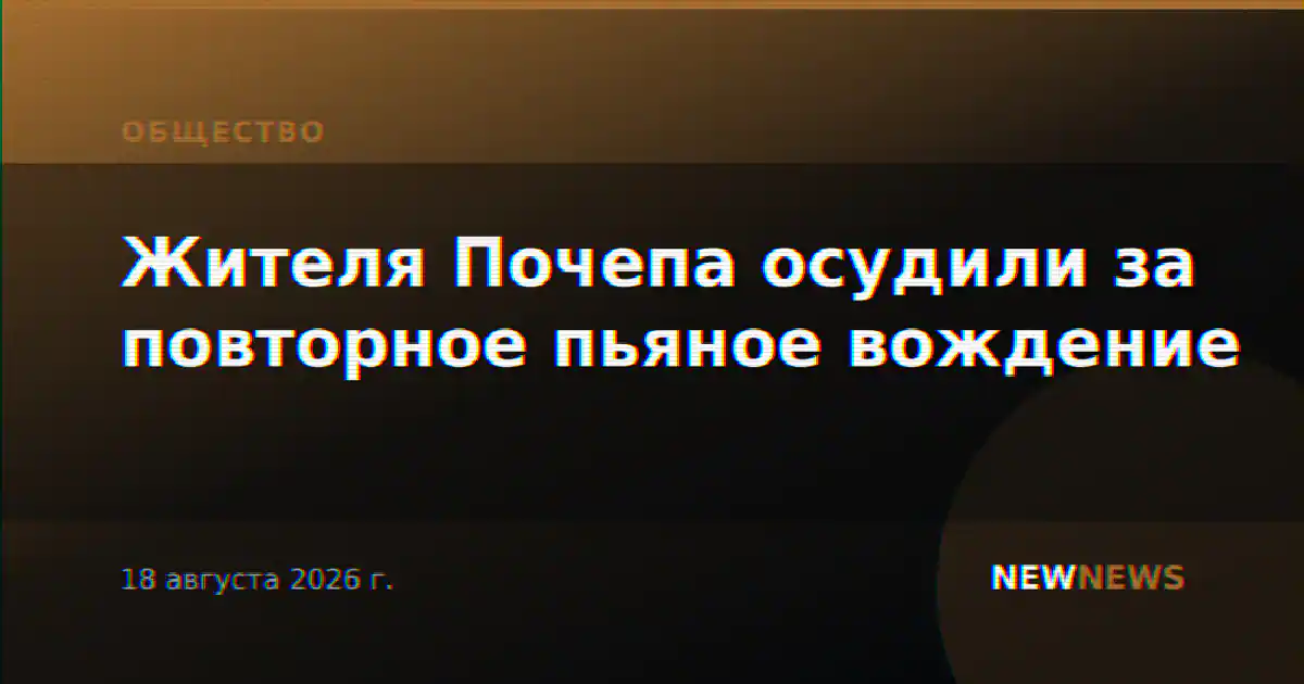 Жителя Почепа осудили за повторное пьяное вождение