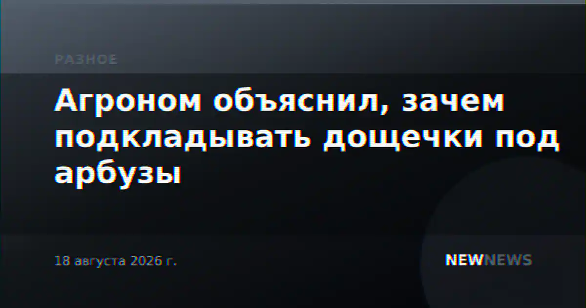 Агроном объяснил, зачем подкладывать дощечки под арбузы