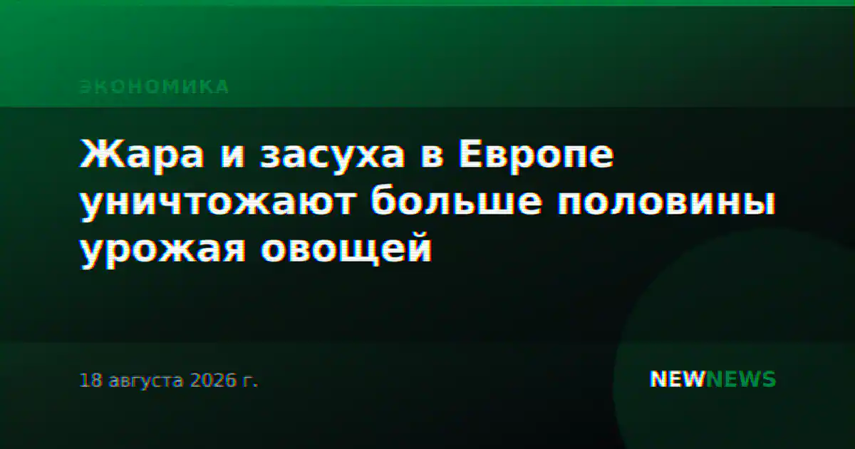 Жара и засуха в Европе уничтожают больше половины урожая овощей