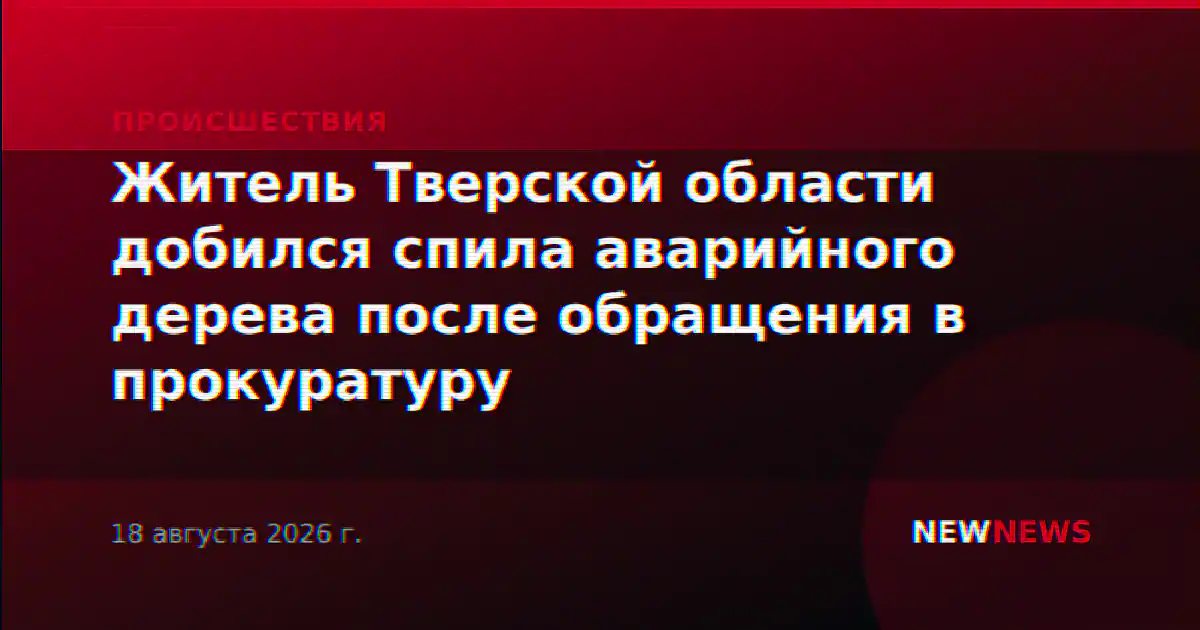 Житель Тверской области добился спила аварийного дерева после обращения в прокуратуру